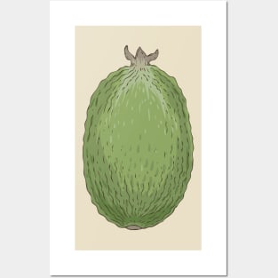 Feijoa Posters and Art